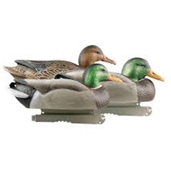 GHG 77144 OVER HUNTER SERIES LIFE SIZE FOAM FILLED MALLARDS