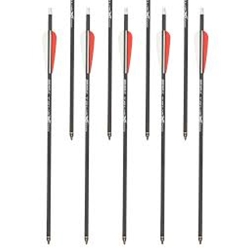 BeARX ACBK23 TRUEX 20" CARBON ARROWS 6PK