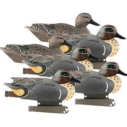 BANDED 73021 LIFE SIZE GREEN WING TEAL 6PK