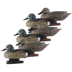 BANDED 73025 LIFE SIZE BLUE WINGED TEAL 6PK