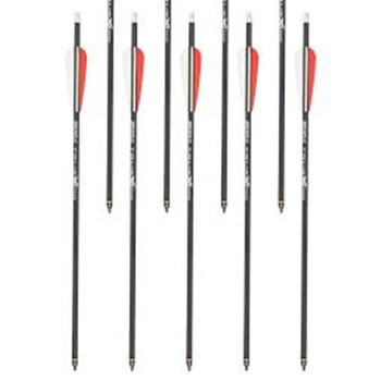 BeARX ACBK23 TRUEX 20" CARBON ARROWS 6PK