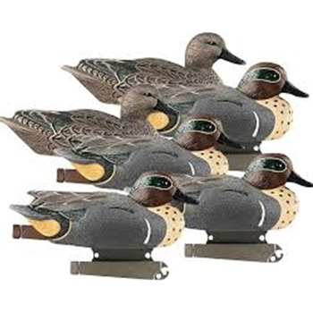 BANDED 73021 LIFE SIZE GREEN WING TEAL 6PK