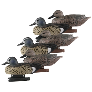 BANDED 73025 LIFE SIZE BLUE WINGED TEAL 6PK