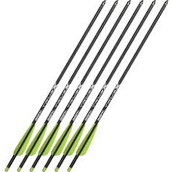 BeARX ACBK20 20" TRUEX CARBON ARROWS 6PK